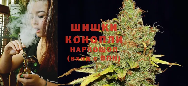 кракен сайт  где купить наркоту  Богородск  Бошки марихуана Amnesia 